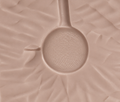 Fingerprint Silicone Mould